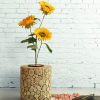 Coin Wooden Planter