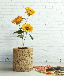 Coin Wooden Planter